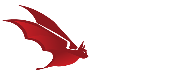 Advanced Persistent Insights logo