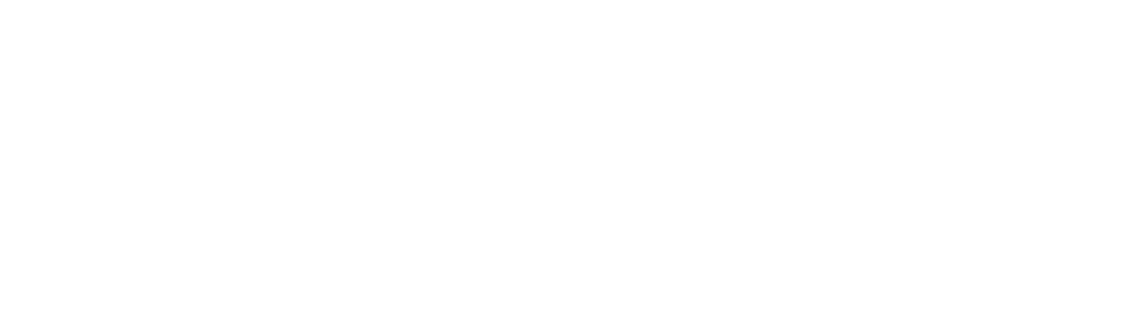 Shane David Roofing logo