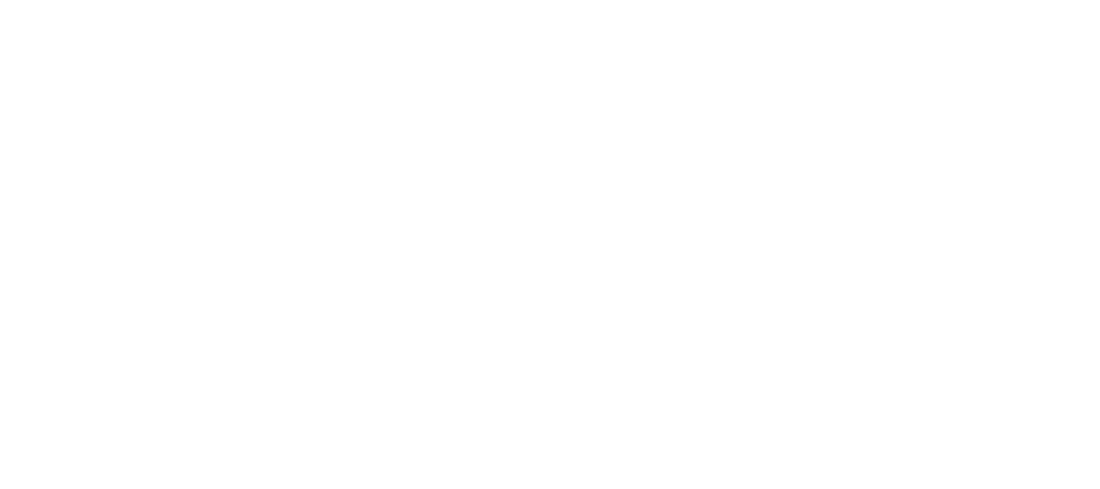 Vanguard Technical logo