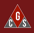 Government Consulting Solutions logo