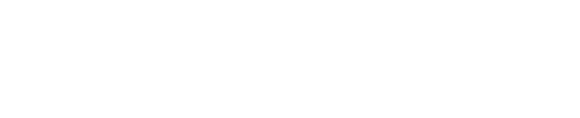 Indy Data Partners logo