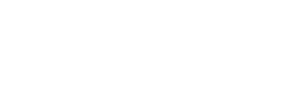 Brave Star Capital logo
