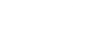 Onyx Therapy Group logo