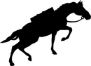 PaxOut Solutions logo