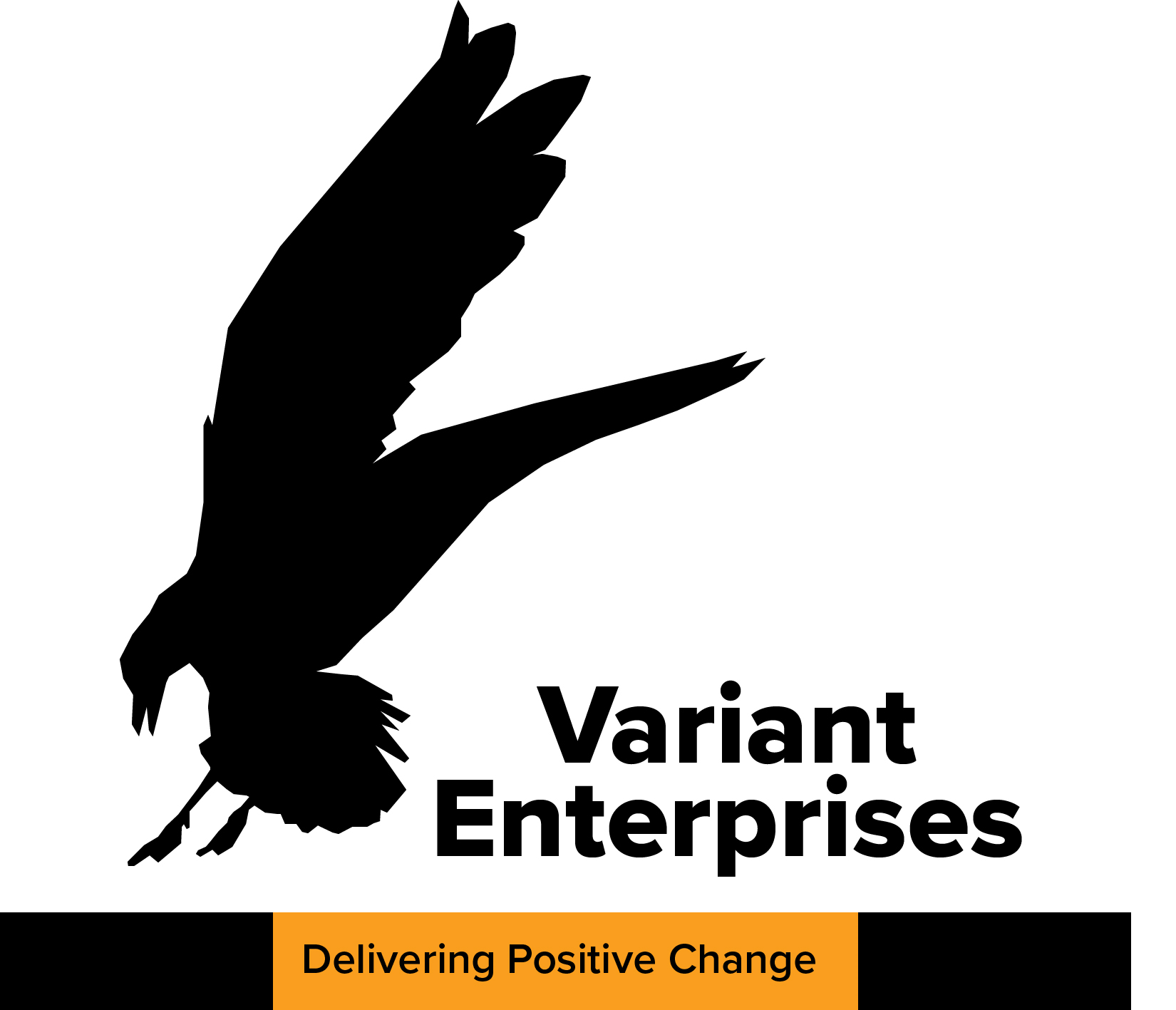 Variant Enterprises logo