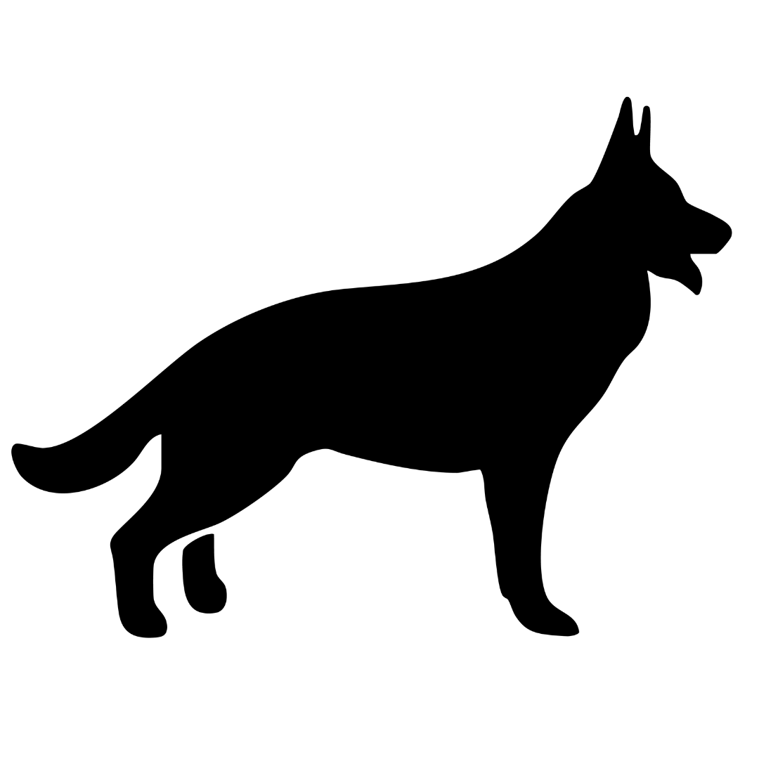 Shepherd Response logo
