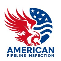 American Pipeline Inspection logo