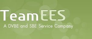 Team EES logo