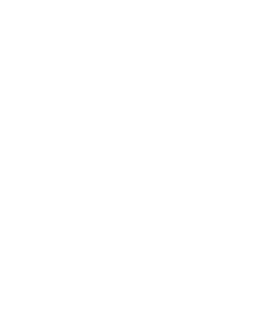Ascension Point Consulting logo