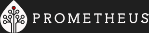 Prometheus Digital logo