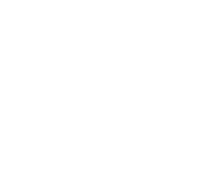 Greene Co, NC VSO logo