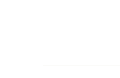 Polk Co, NC VSO logo