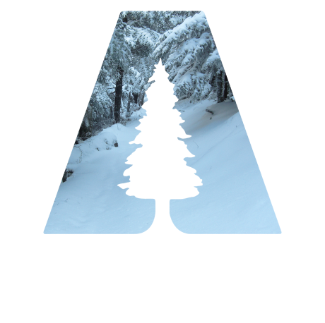 Avery Co, NC VSO logo