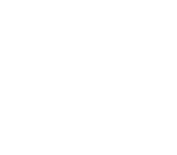 Carrollton GA, VSO logo