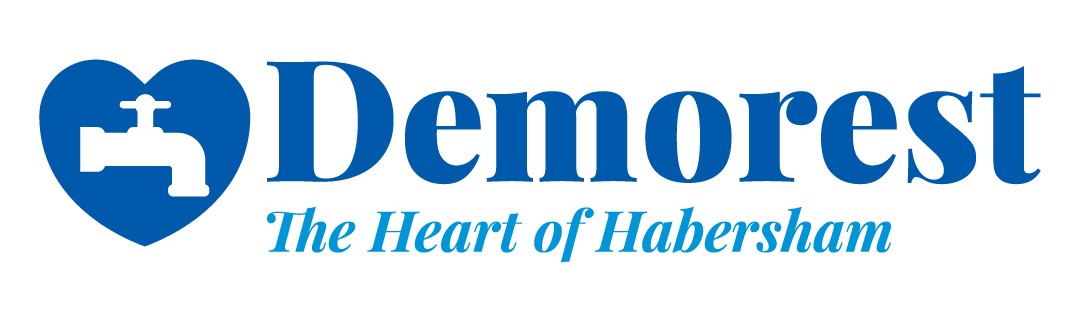 Demorest, GA VSO logo