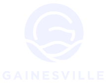 Gainesville, GA VSO logo
