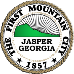 Jasper, GA VSO logo