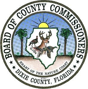 Dixie Co, FL VSO logo