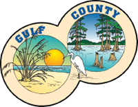 Gulf Co, FL VSO logo