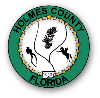 Holmes Co, FL VSO logo