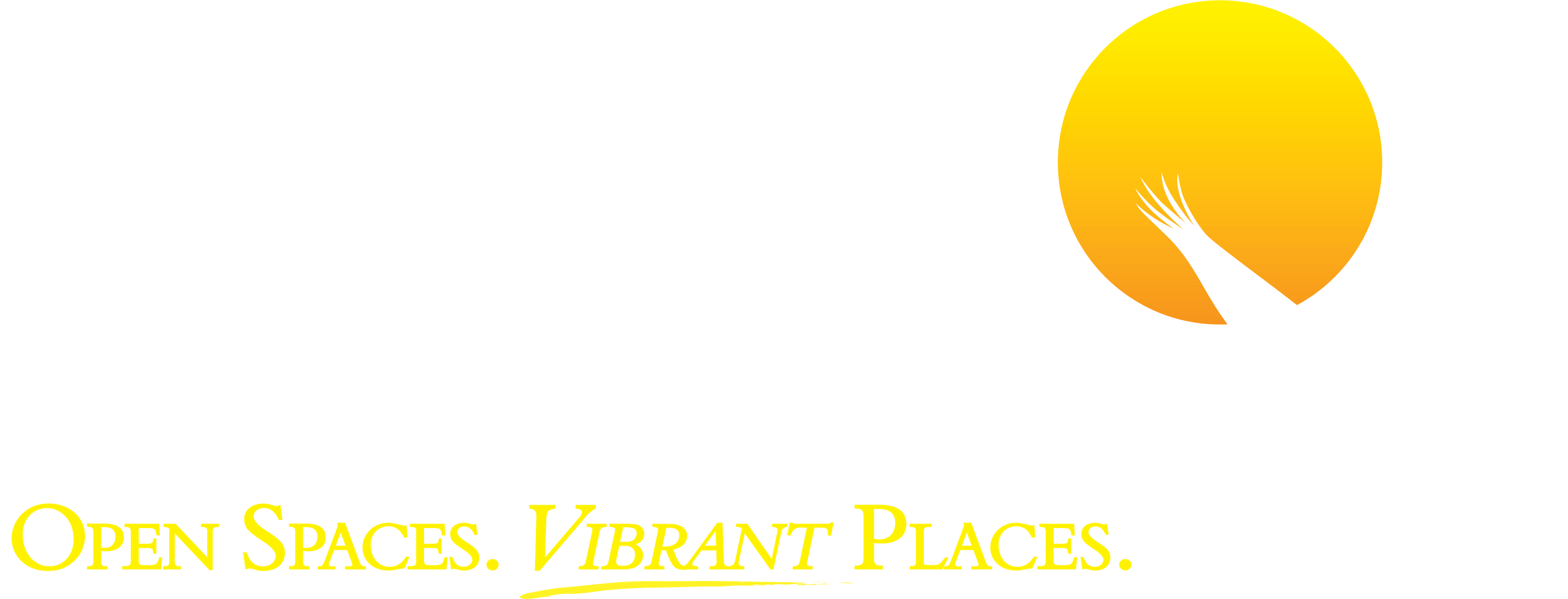 Pasco Co, FL VSO (East Pasco) logo