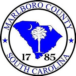 Marlboro Co, SC VSO logo