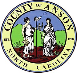Anson Co, NC VSO logo