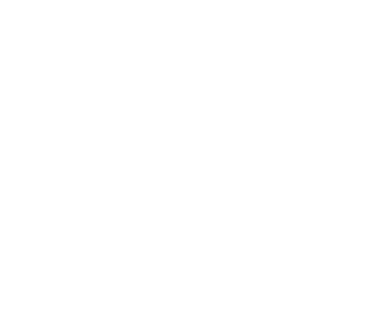 LOCAL Plumbing Co logo