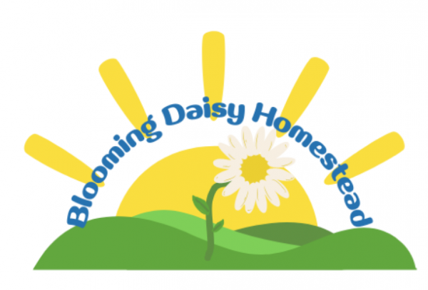 Blooming Daisy Homestead logo