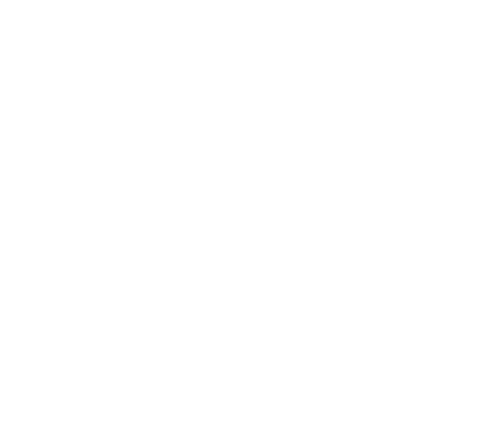 Kent Co, DE VSO logo