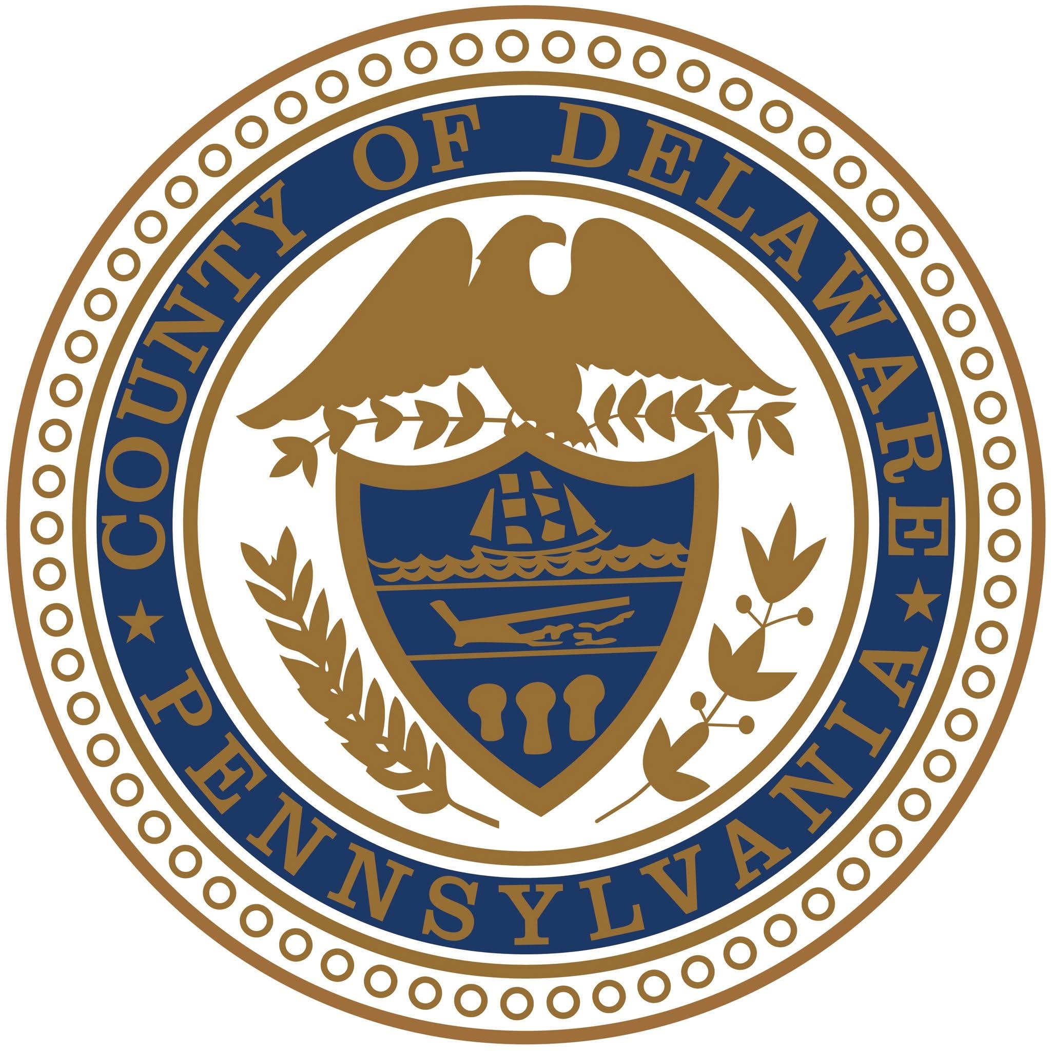 Delaware Co, PA VSO logo