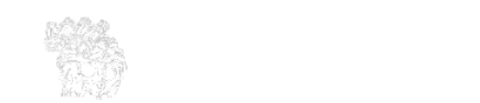 Savage Tacticians logo