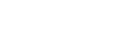 Paladin Engineering logo