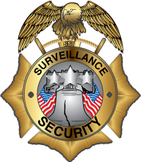 Surveillance Security logo