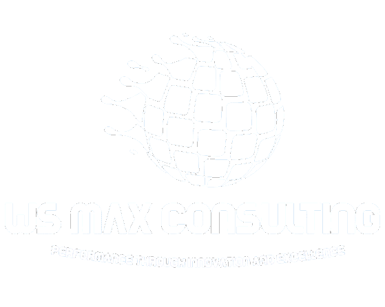 WS MAX Consulting logo