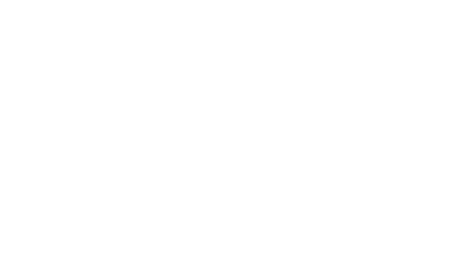 Burris Tire logo